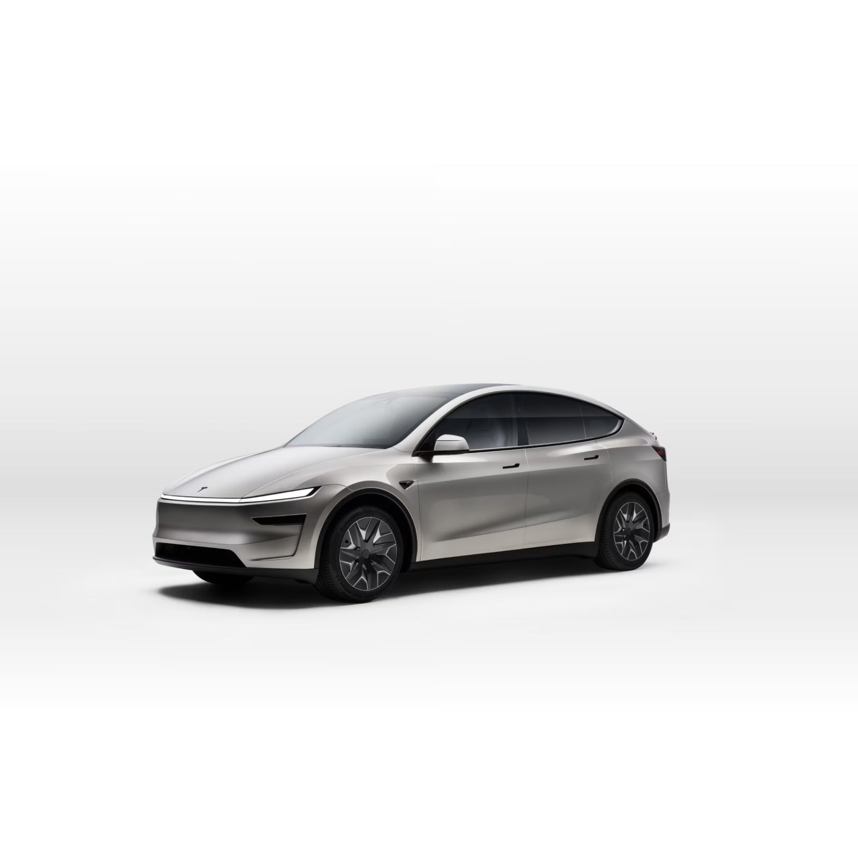 Model Y Juniper Accessories