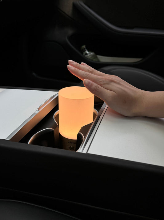 Nature Wood Decor Ambient Light for Tesla — Short Style