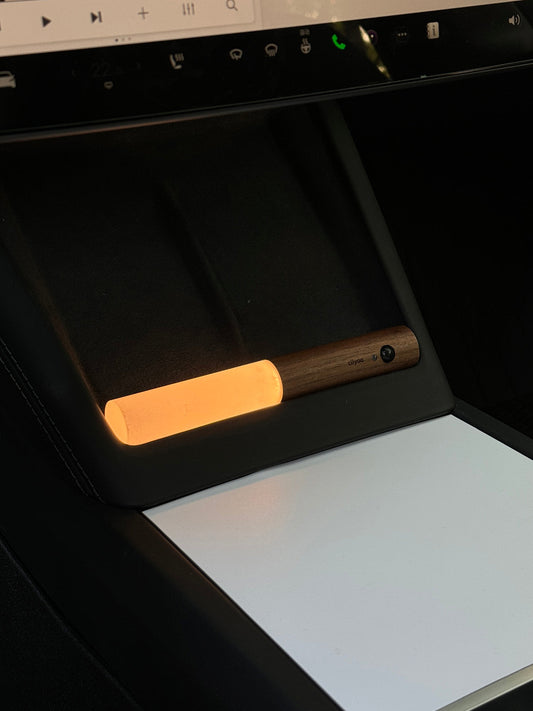Nature Wood Decor Ambient Light for Tesla — Stick Style